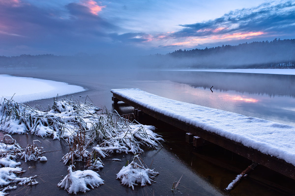 February Morn