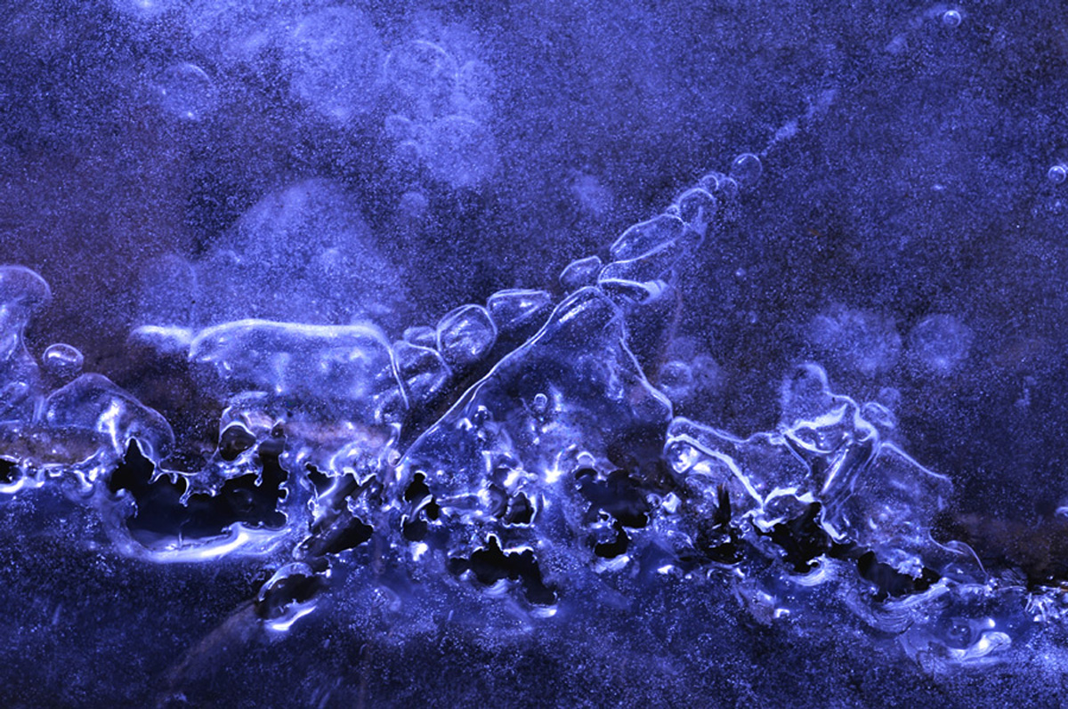 Got the  blues