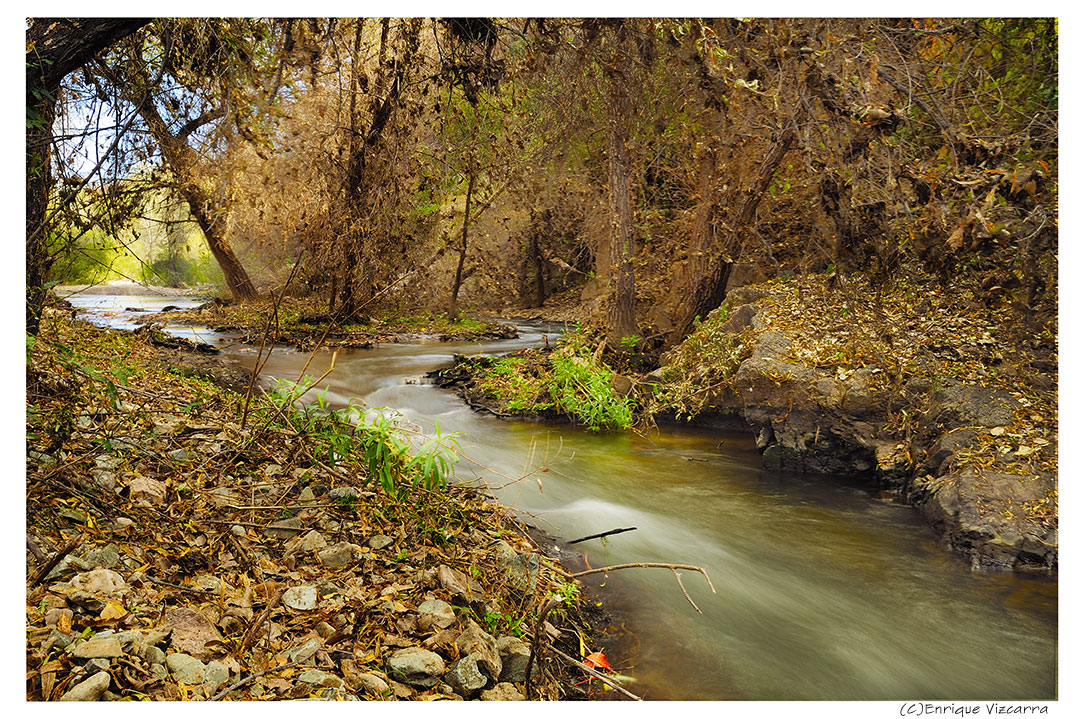 Stream