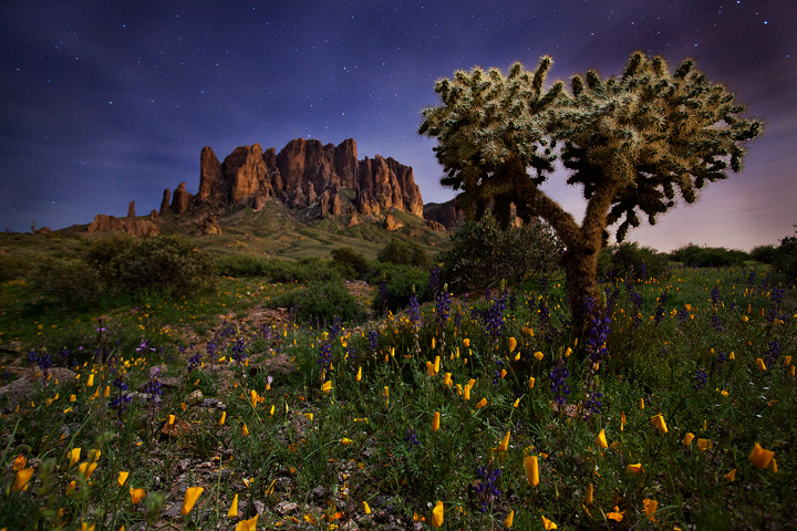 Colorful night