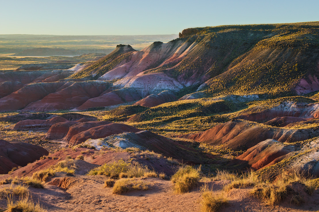Petrified Forest