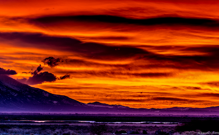 Neon Sunrise
