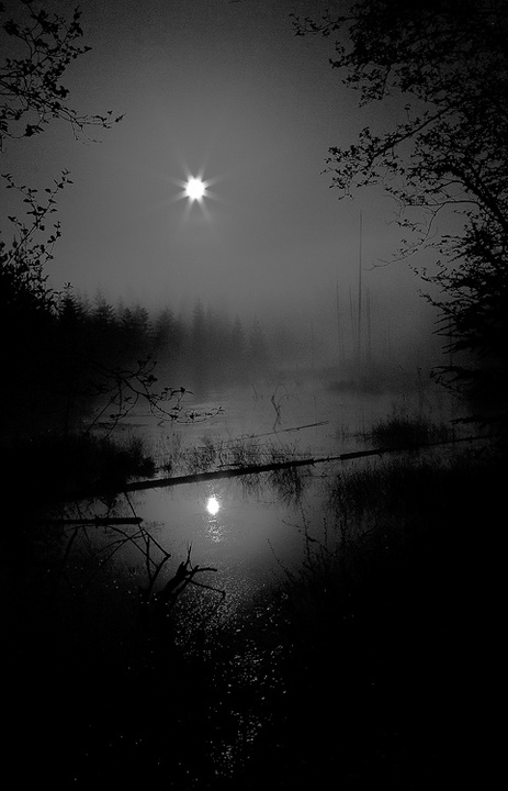 Moonlit Pond