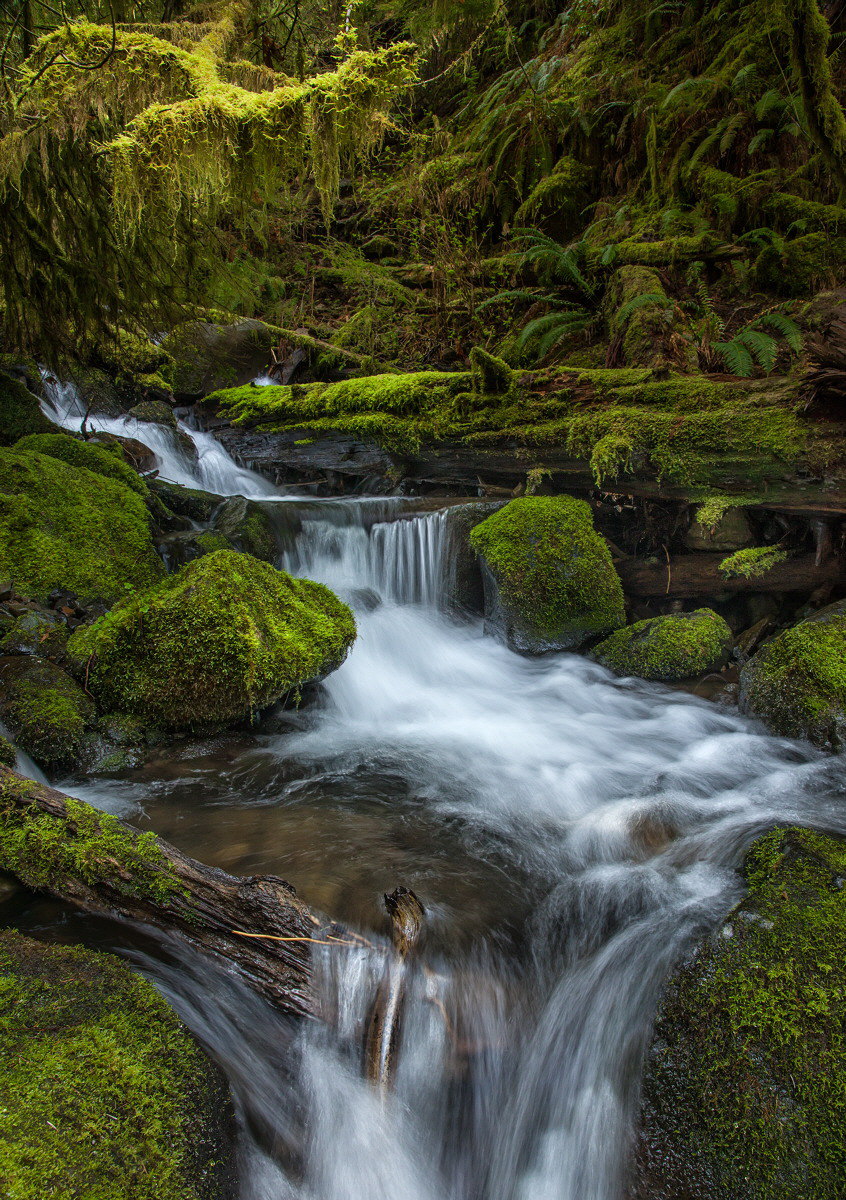 Eagle Creek rivulet