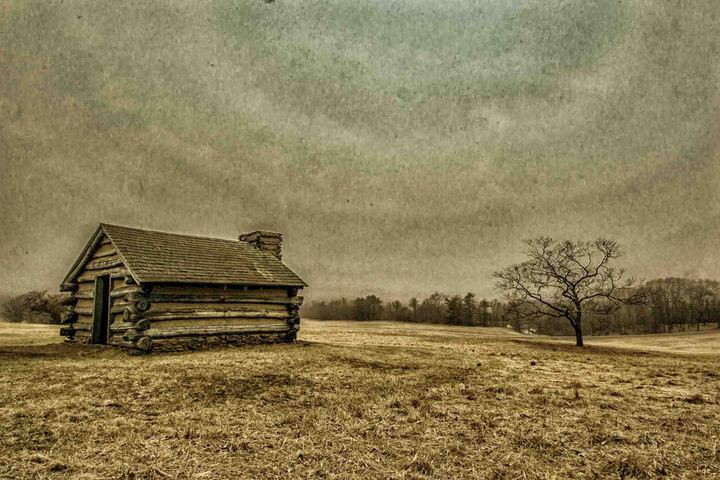 A hut and a tree