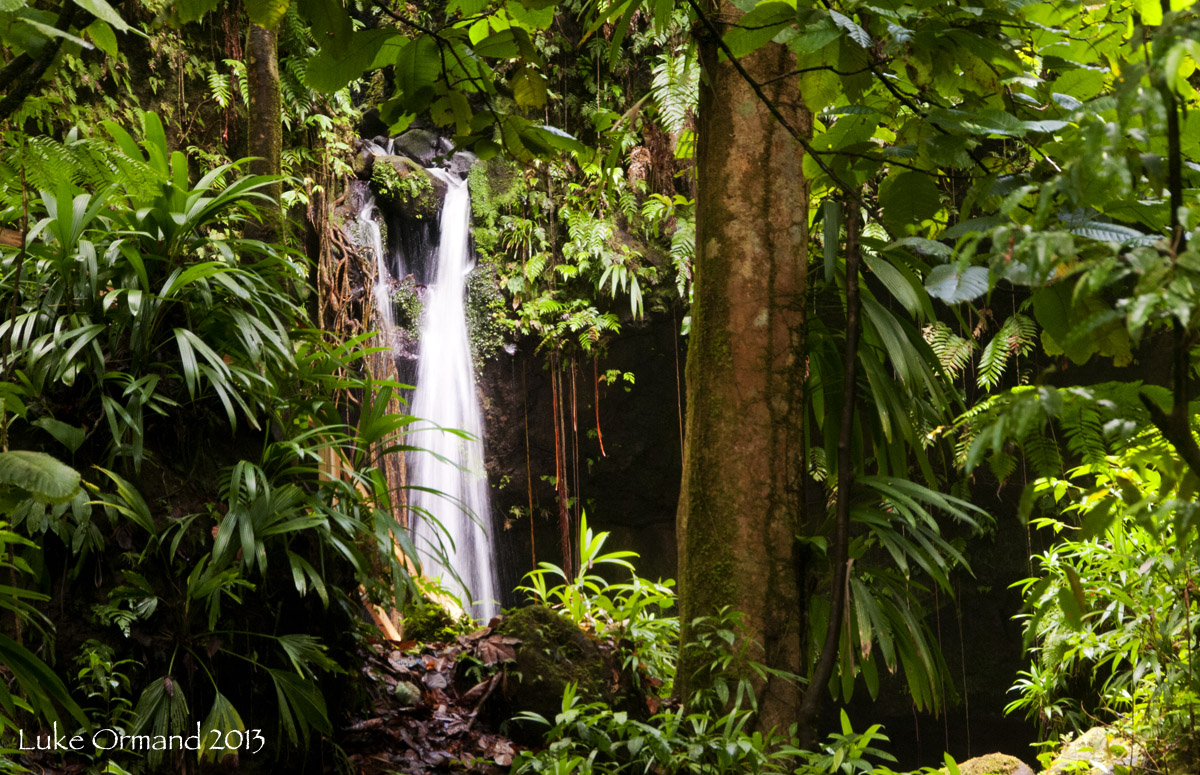 Hidden Falls 