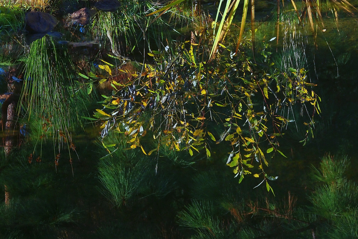 Placid fall day, 2010