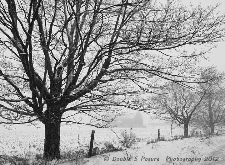 Winter in the Country