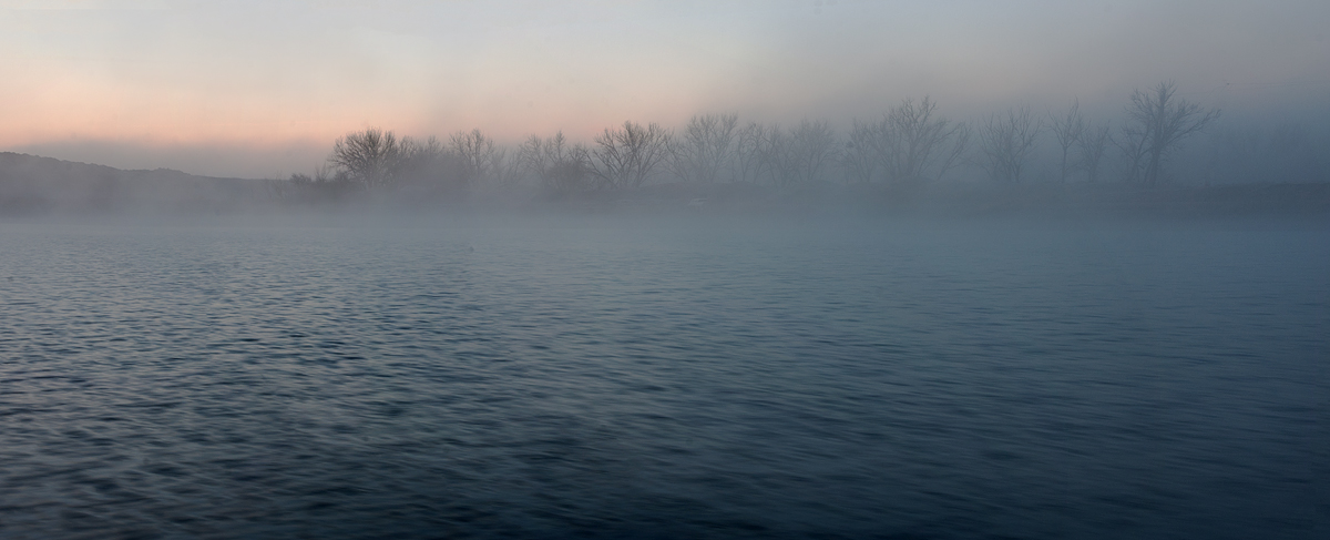 In The Fog