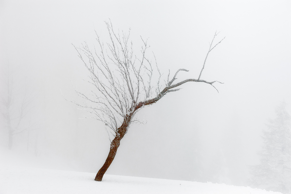Stille