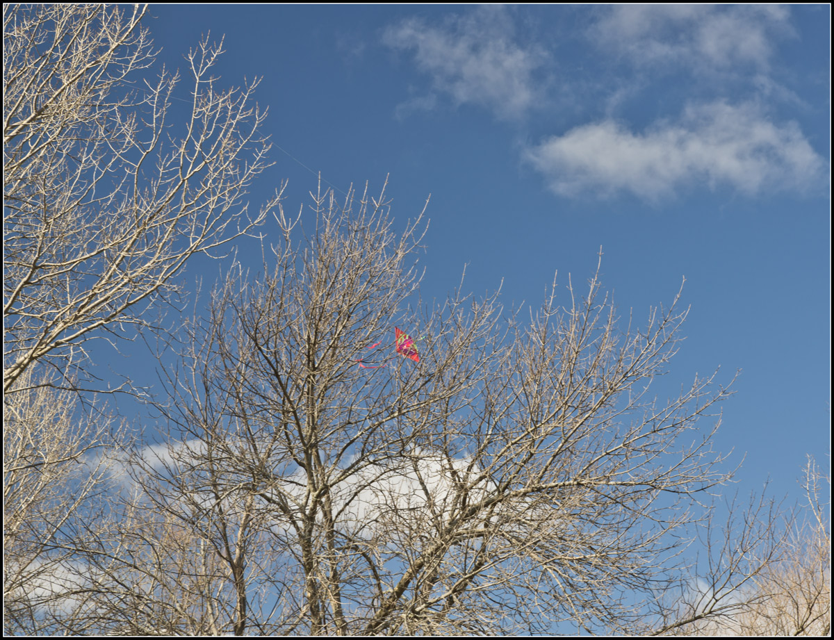 Flyin High in April