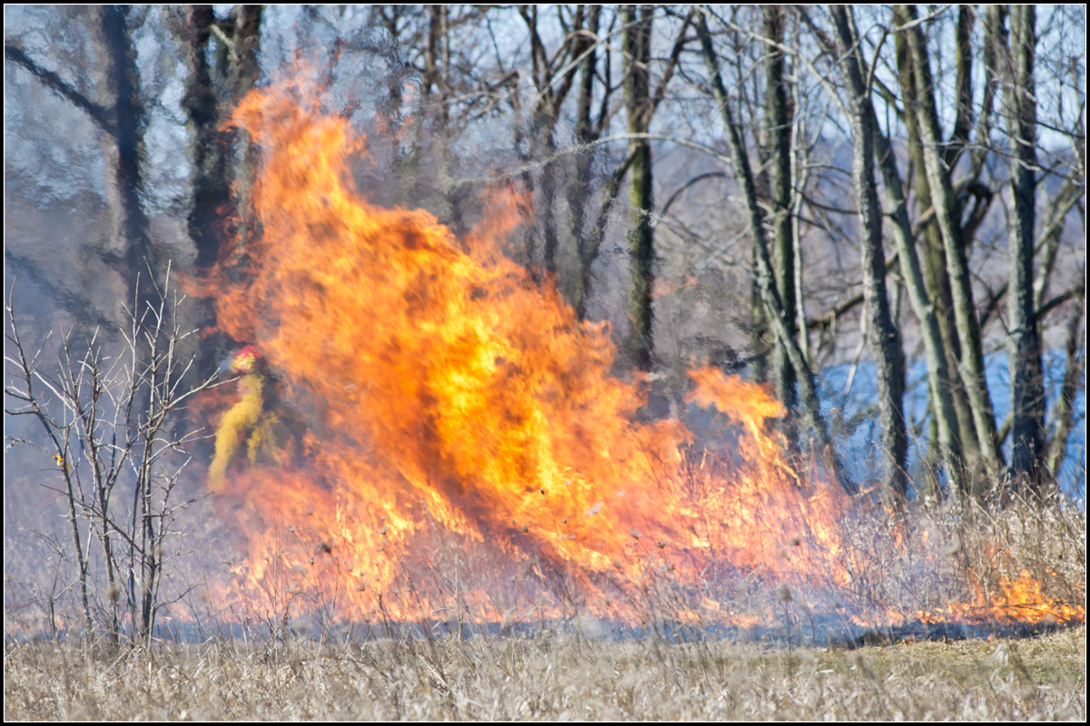 Burn at Nelson Lake