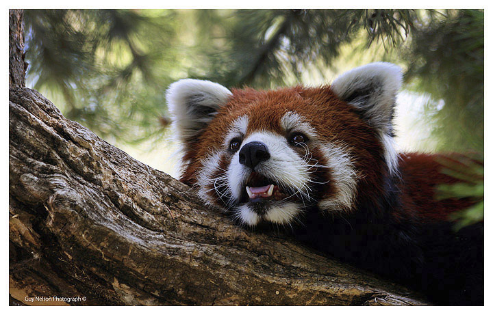 Relaxing Afternoon