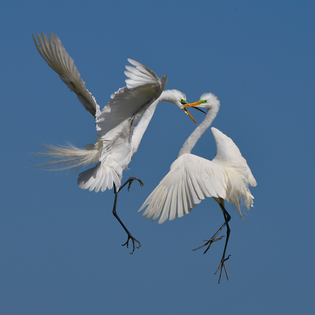 Air Battle