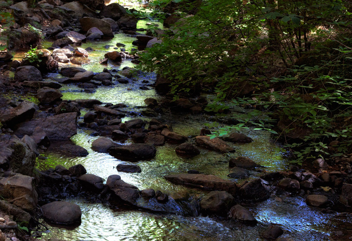 Creekside