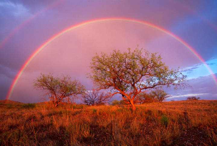 Arizona Double Rainbow