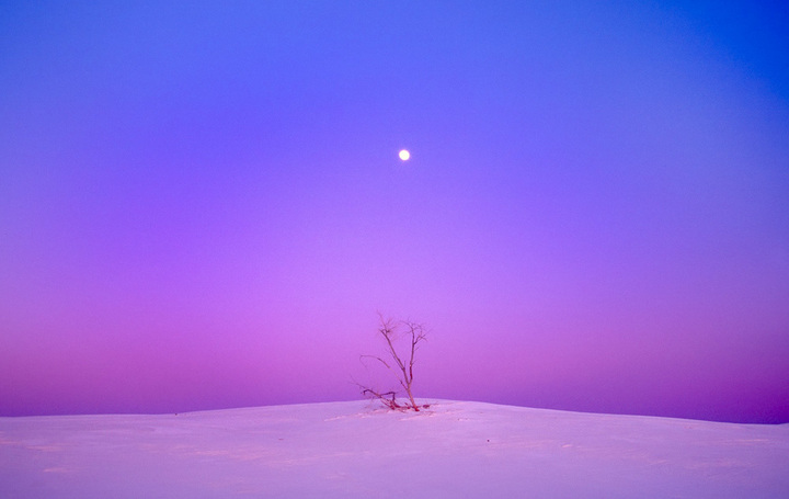 Desert Solitude