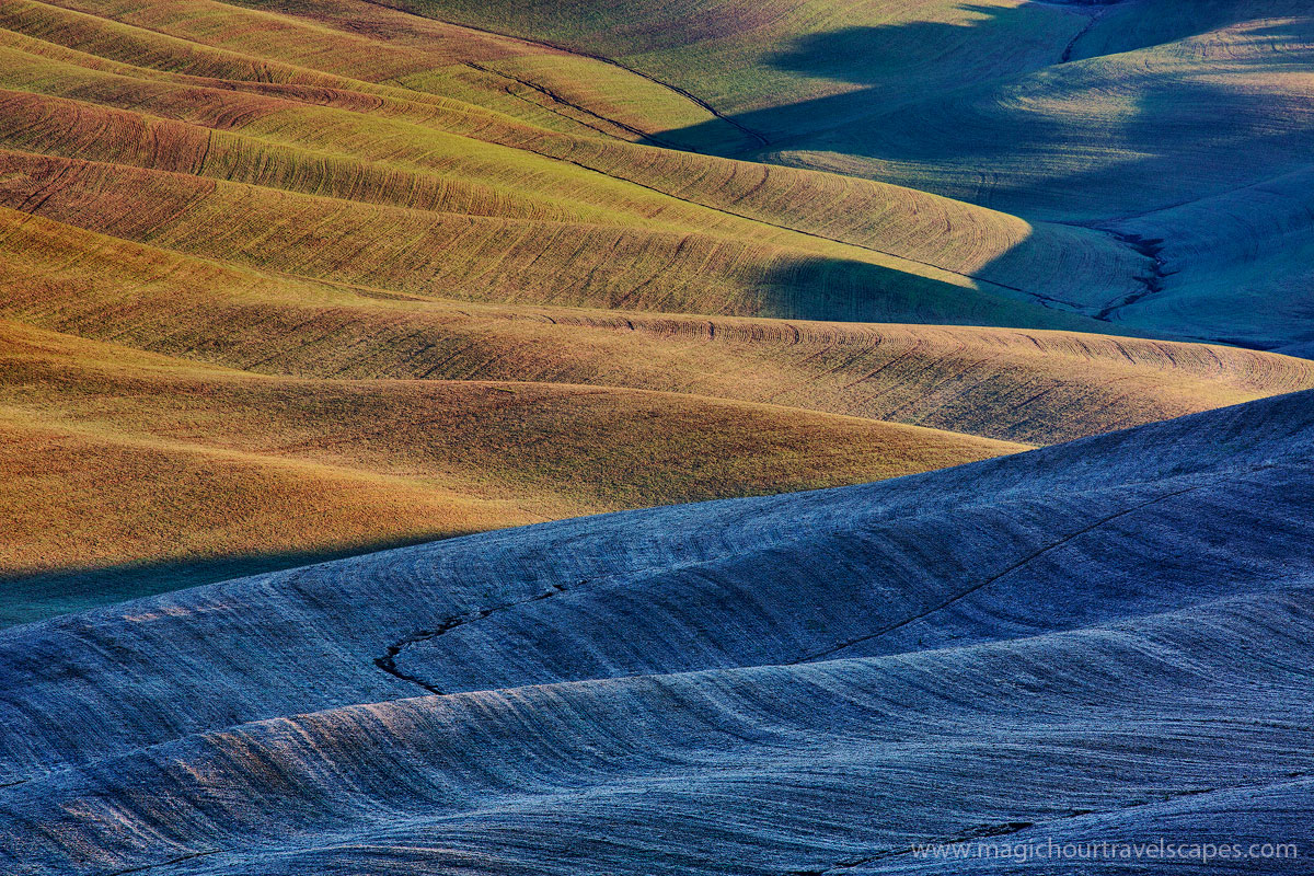 Shades of Tuscany