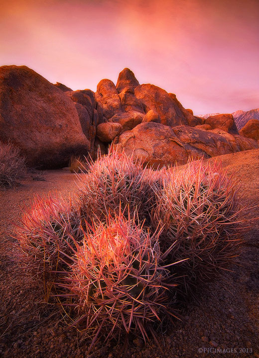Spiked Sunrise + Repost