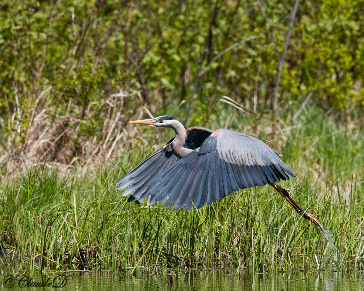 Take-Off