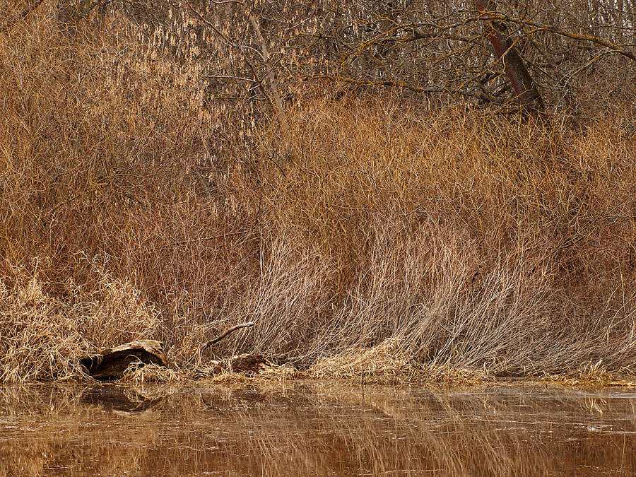 Floodplains' Textures