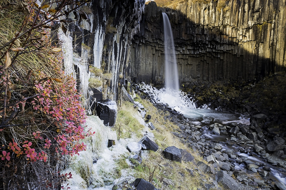 Svartifoss, Iceland