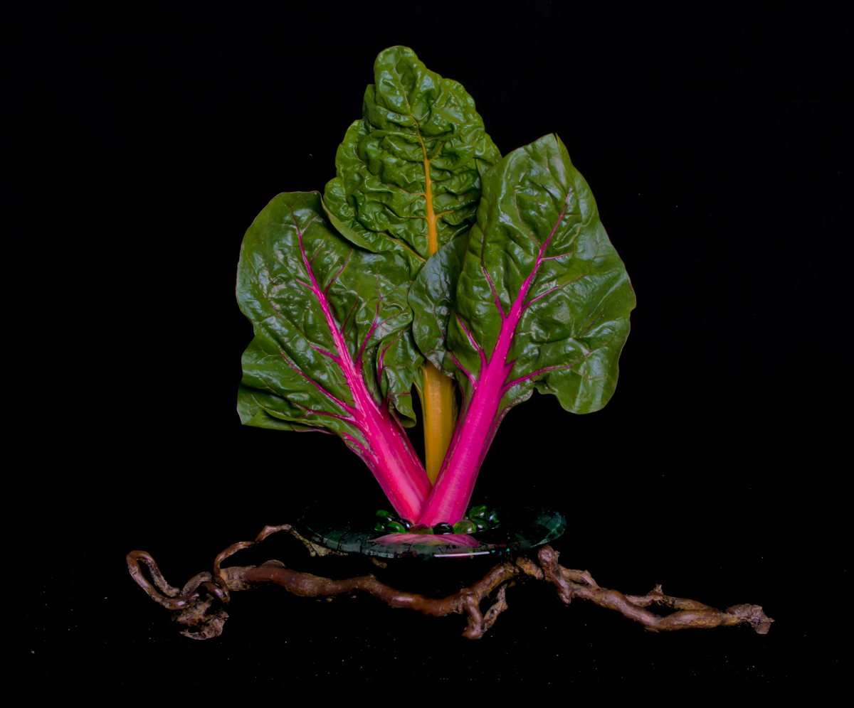 Jiyûka Chard WC#580