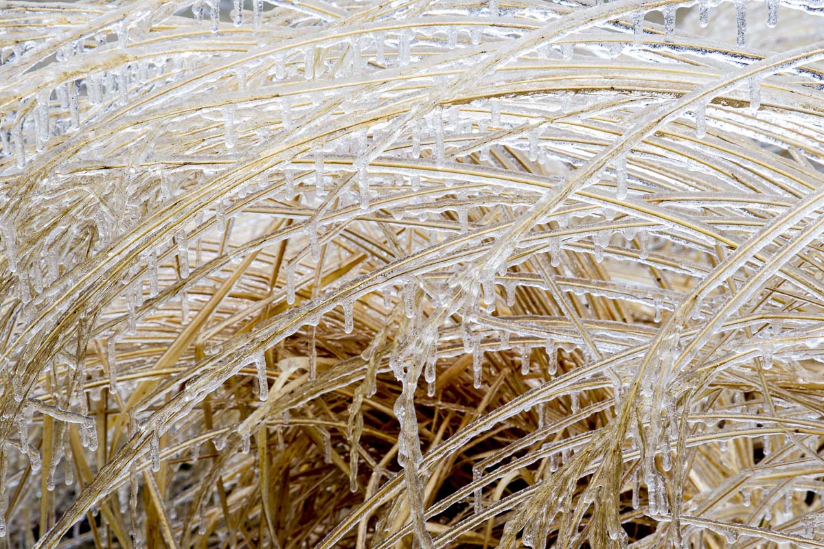 Ice storm