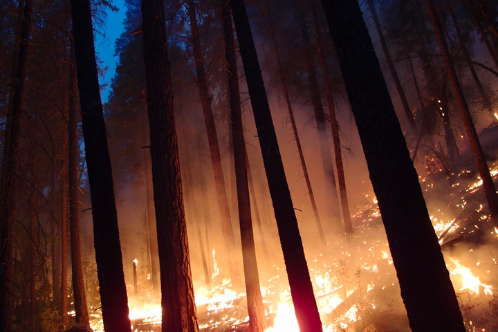 Night Burn