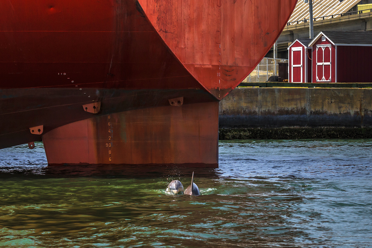 Playing at the Stern