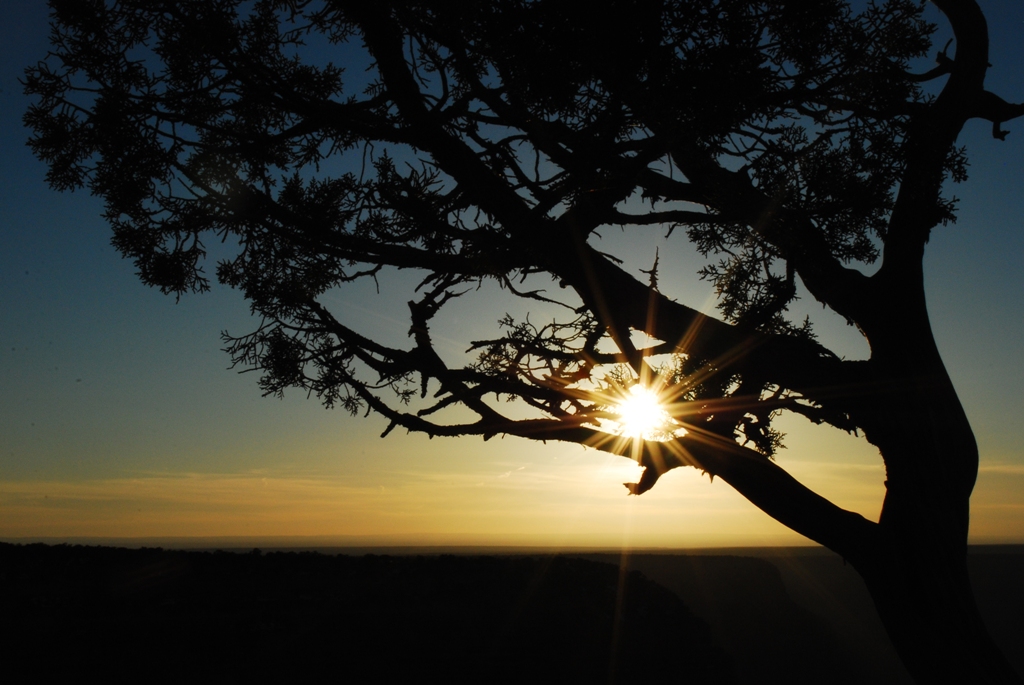 Hopi Point Sunburst