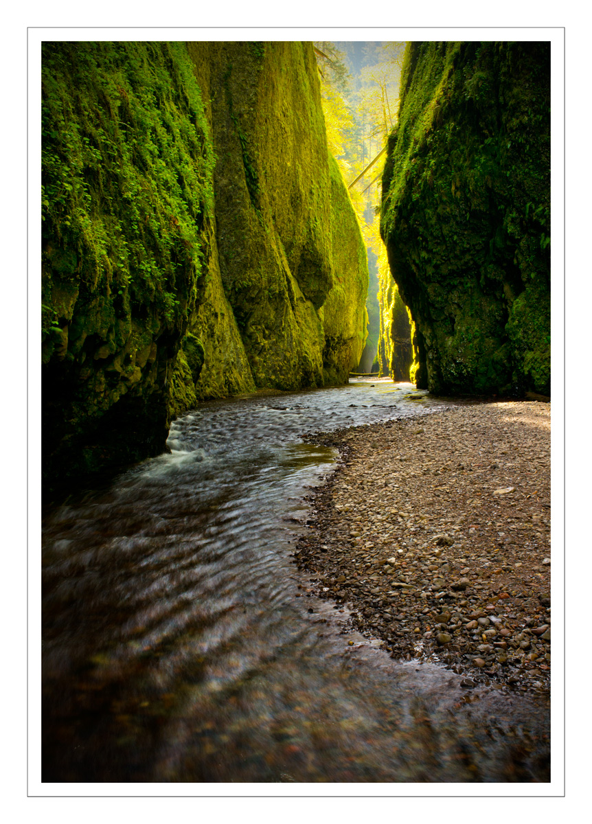 Oneonta Gorge