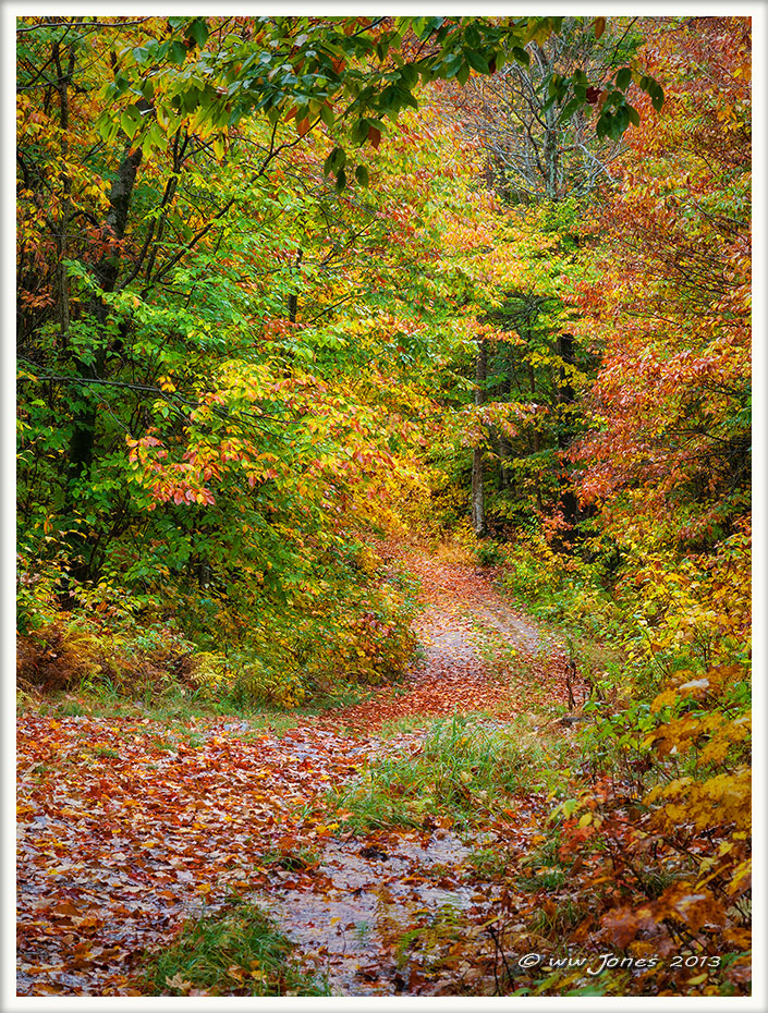 Less Traveled - WC#582