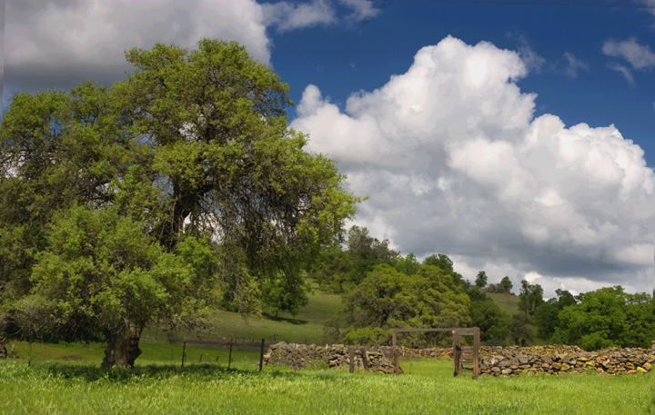 Old Stone Corral