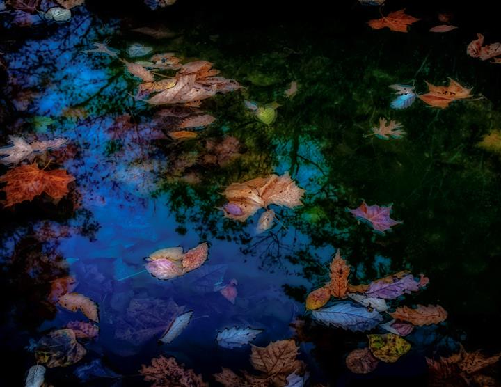 Fall Reflections