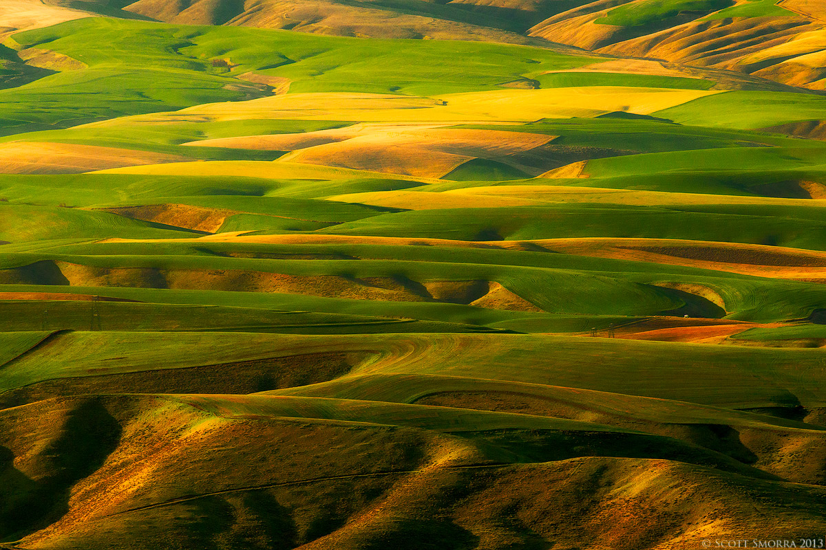 Oregon Countryside