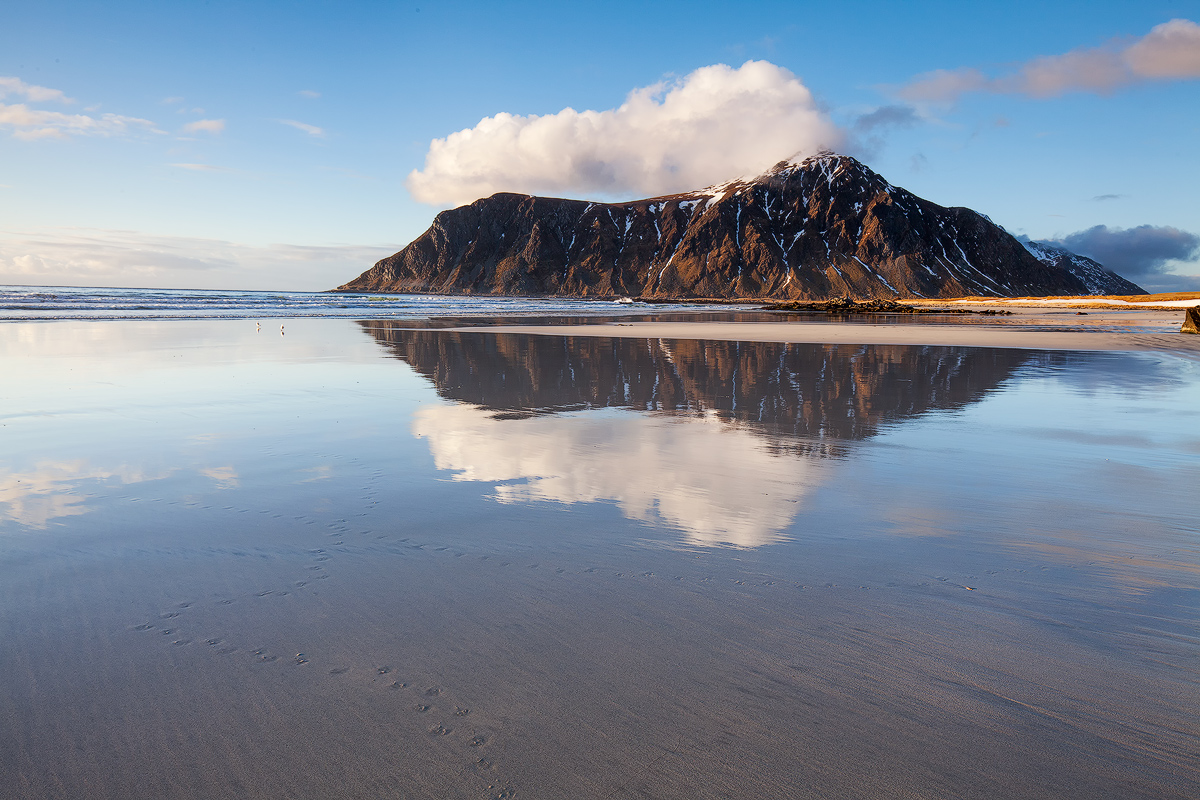 Flakstad Reflection