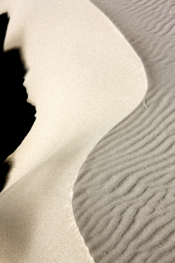 Shadow and Sand.