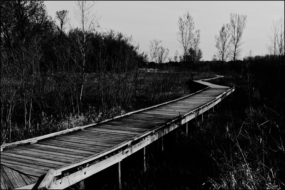 Boardwalk