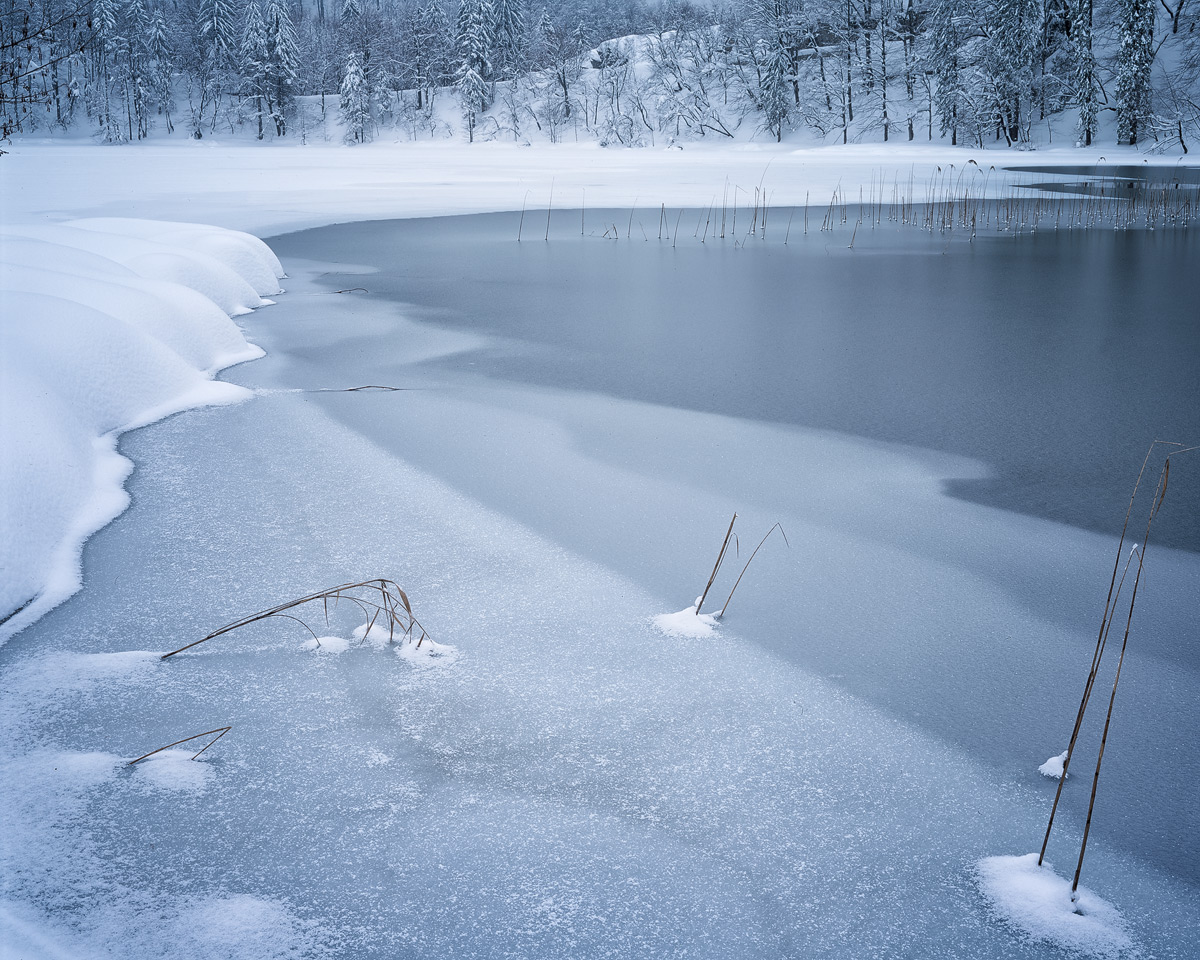 Reeds and Snow, pt. II