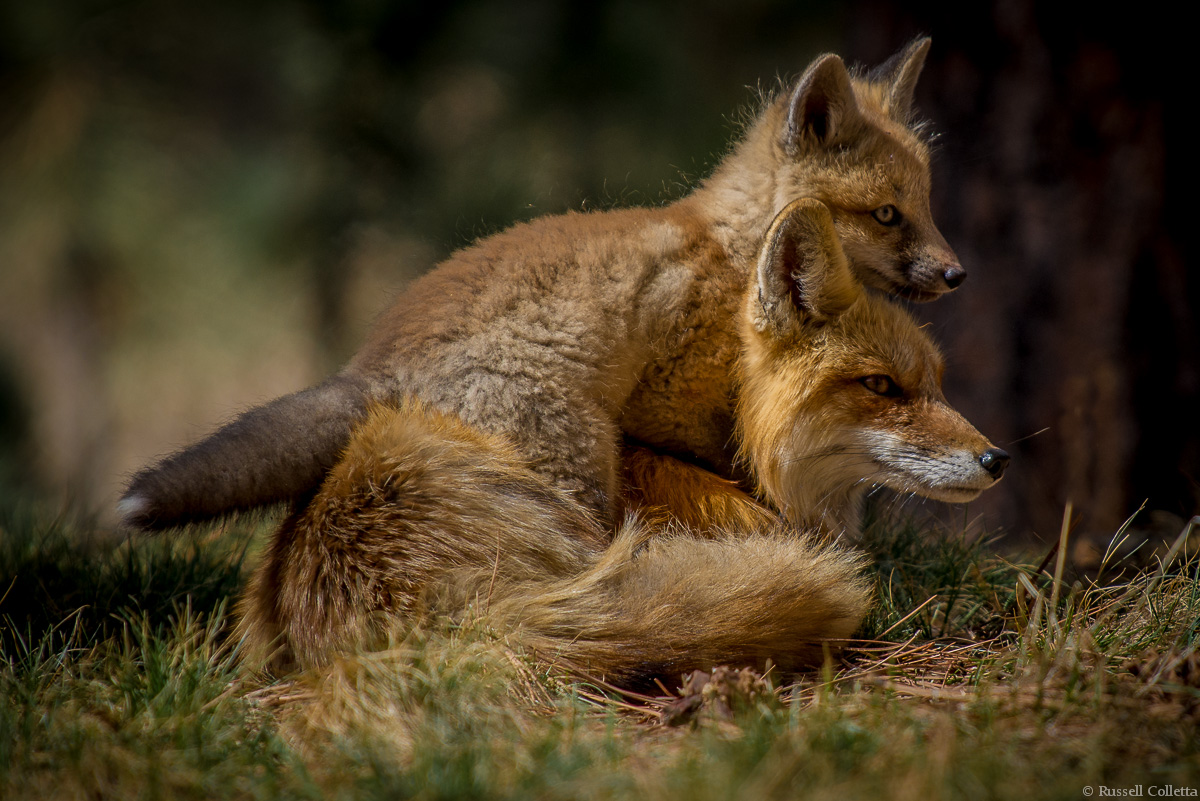 Mother and child