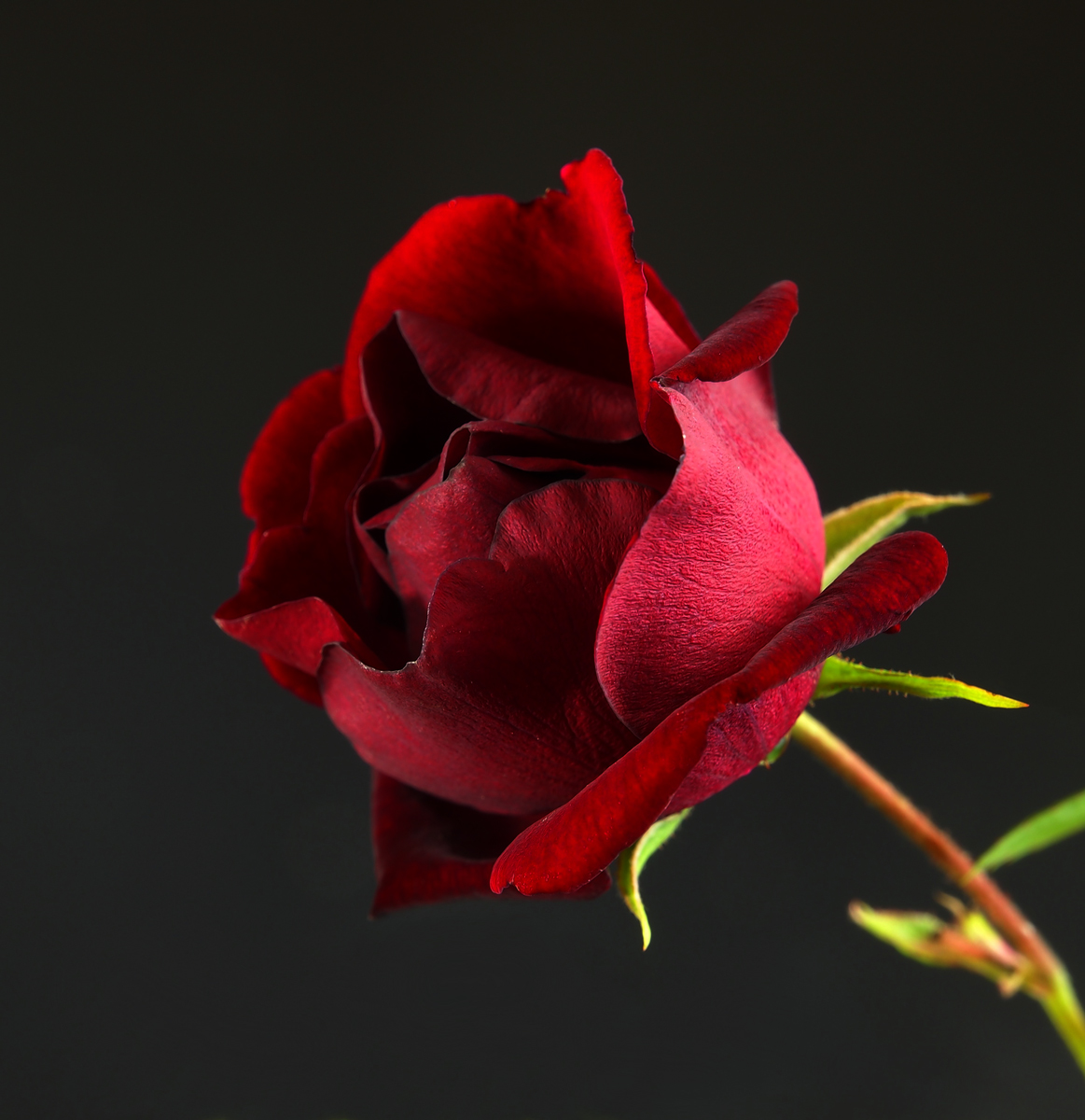 "Red"