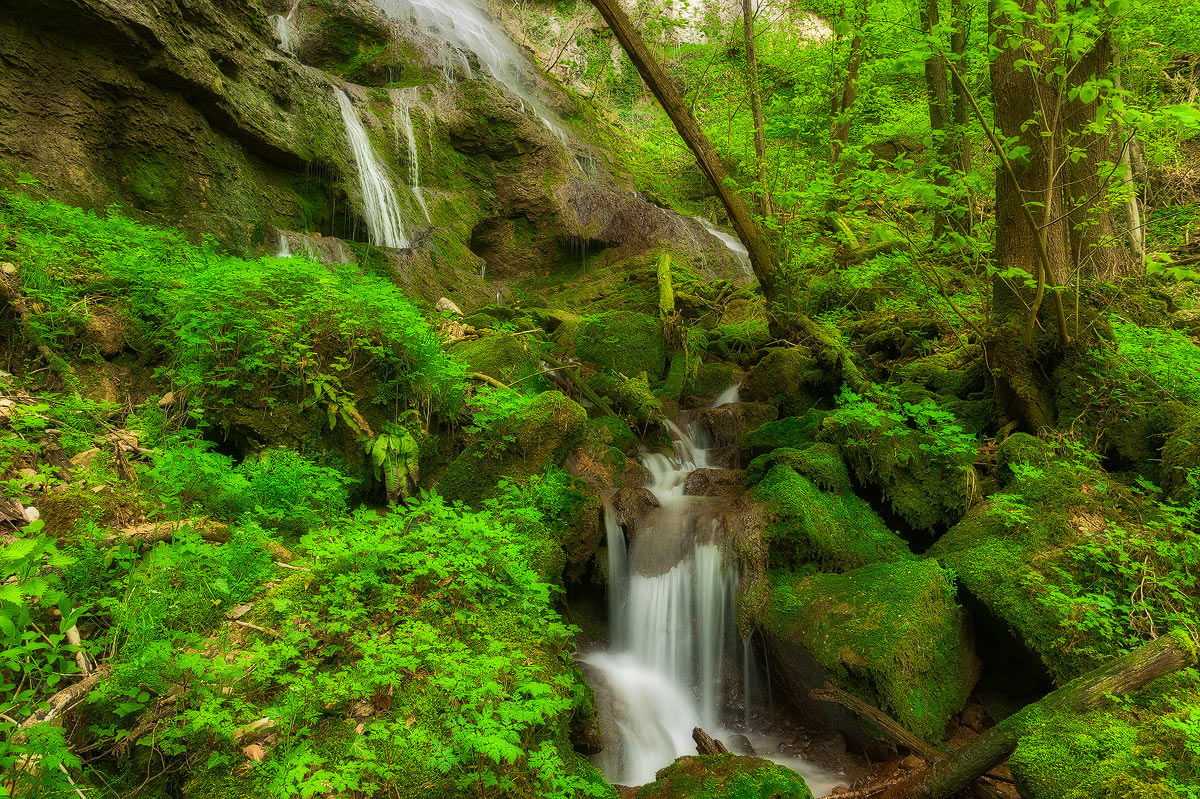 Spring Creek