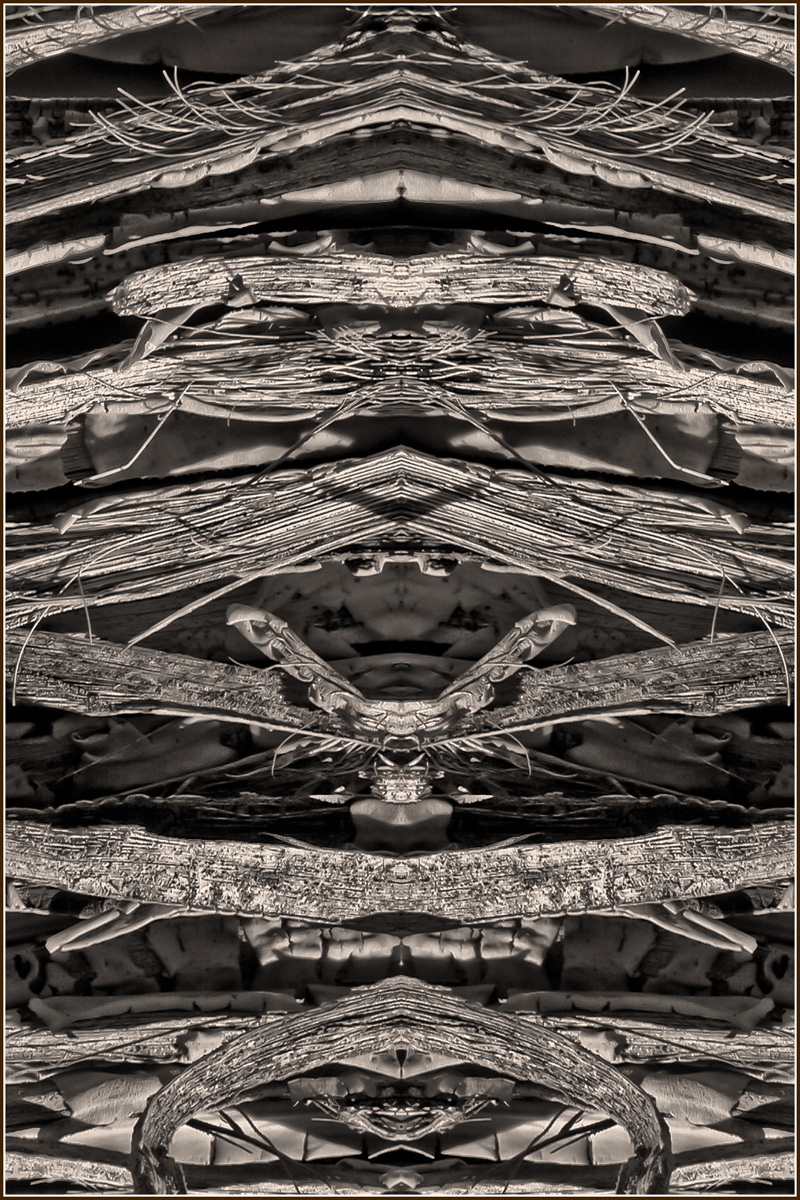 Joshua Tree Totem Pole