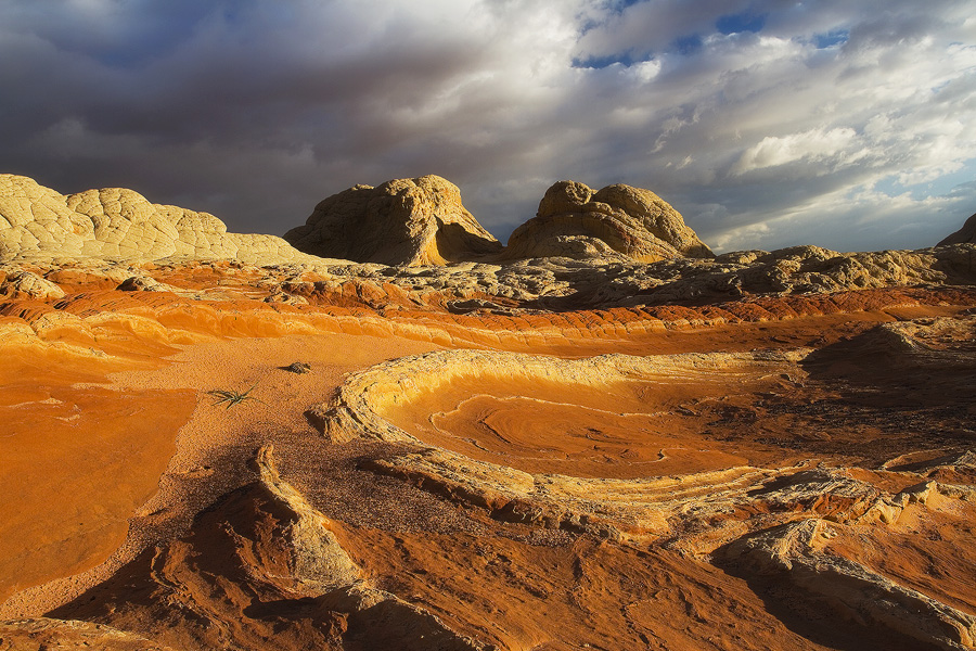Baked Earth