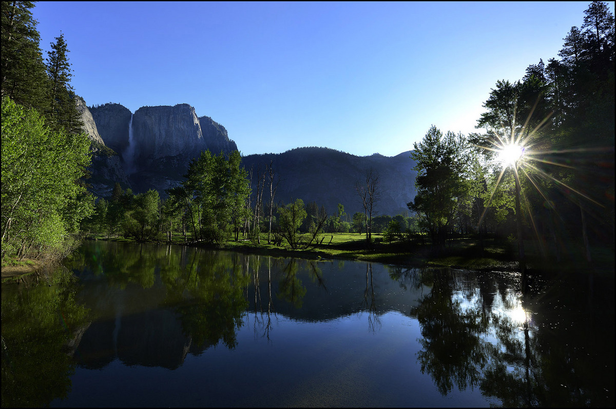 Spring Oasis