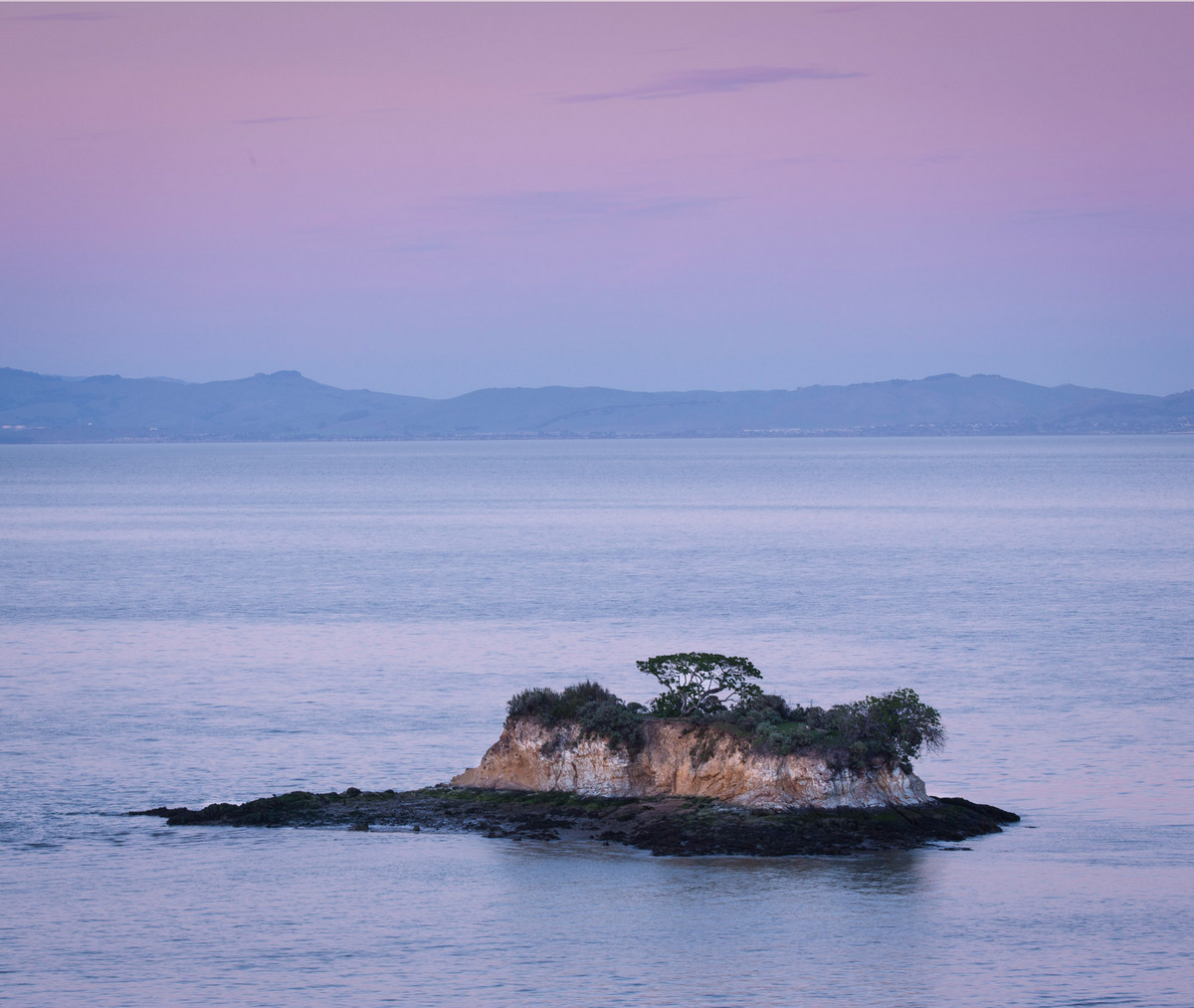 Rat Island