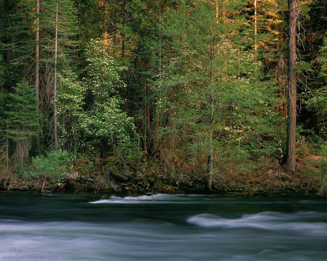 Quiet on the Merced
