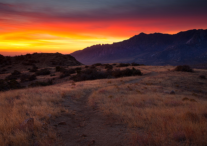 Organ Mountain Dawn