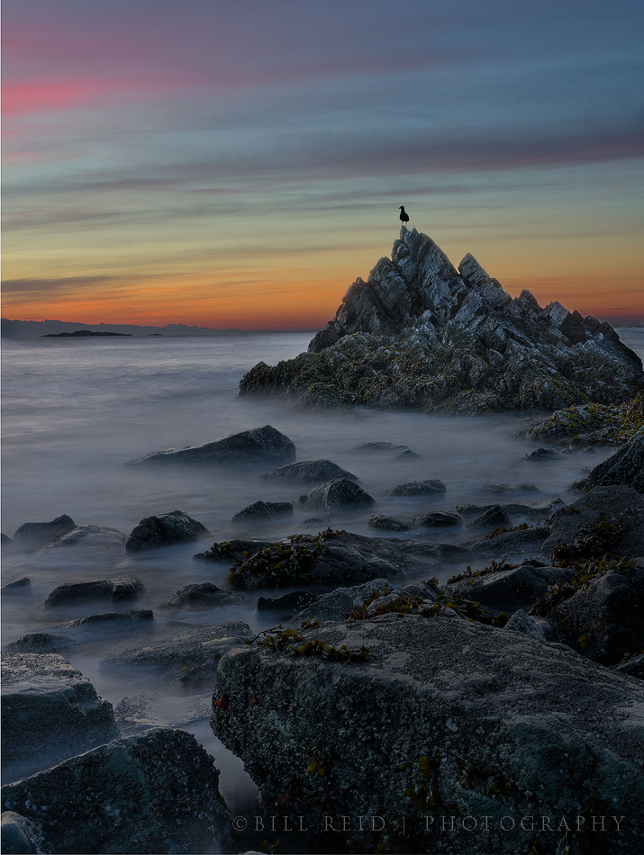 The Lookout